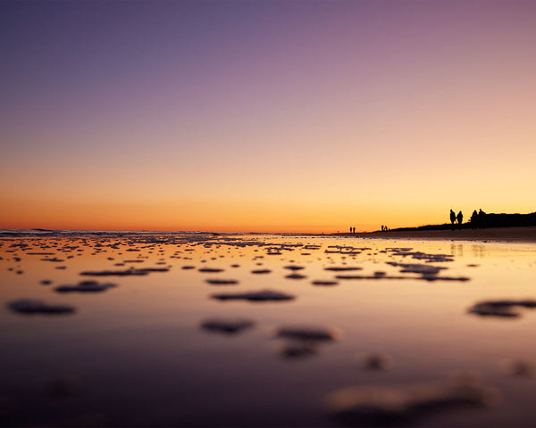 Calm Ocean Sunset at Palmetto Dunes