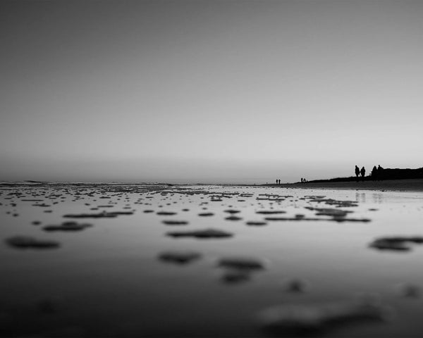 Calm Ocean Sunset at Palmetto Dunes