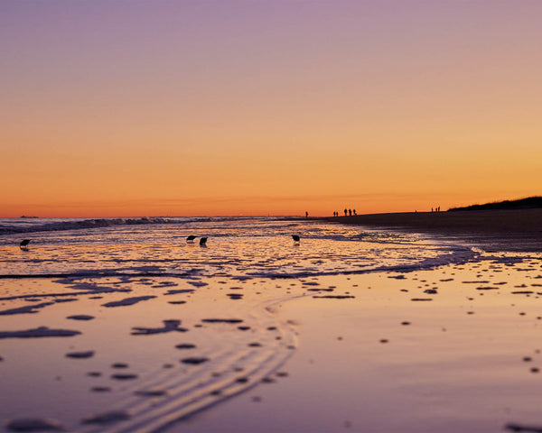 Calm Ocean Sunset at Palmetto Dunes