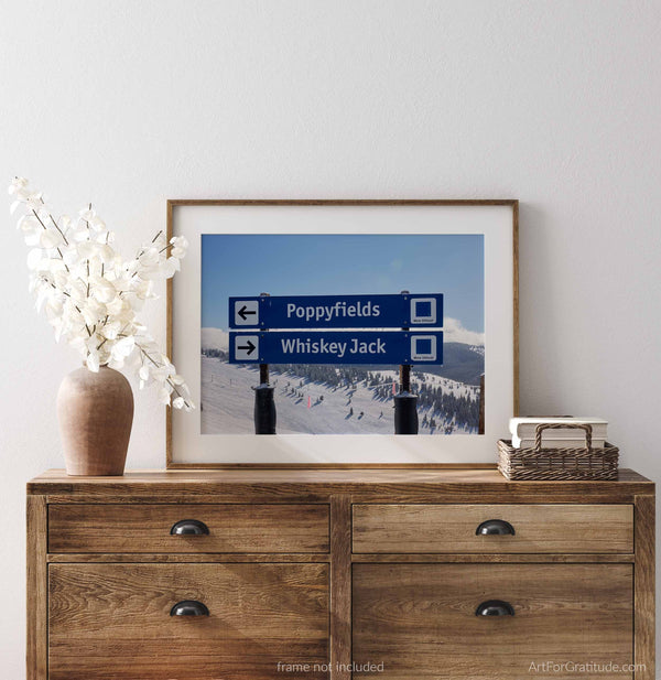 Poppyfields & Whiskey Jack Ski Run Signs