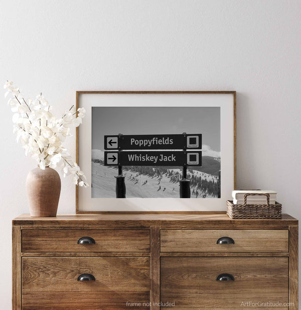 Poppyfields & Whiskey Jack Ski Run Signs