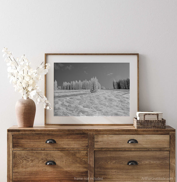 Wild Card Black Diamond Ski Run