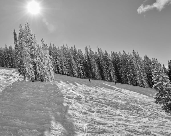 Wild Card Black Diamond Run