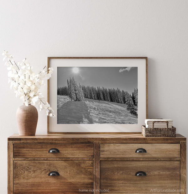 Wild Card Black Diamond Run