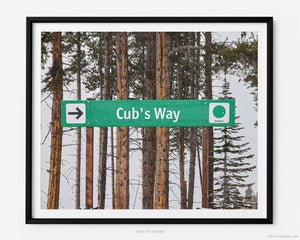 This fine art photography print shows winter in Vail, Colorado at Vail Ski Resort. A directional sign is found erected and reads “Cub’s Way” as a guide for the beginner (green – and easiest) ski trail, with the skinny trunks of pine trees in the background.
