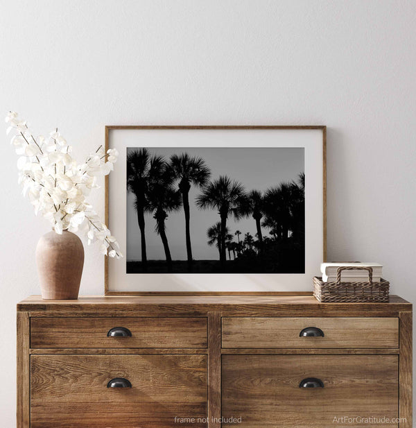 Palmetto Trees at Sunset