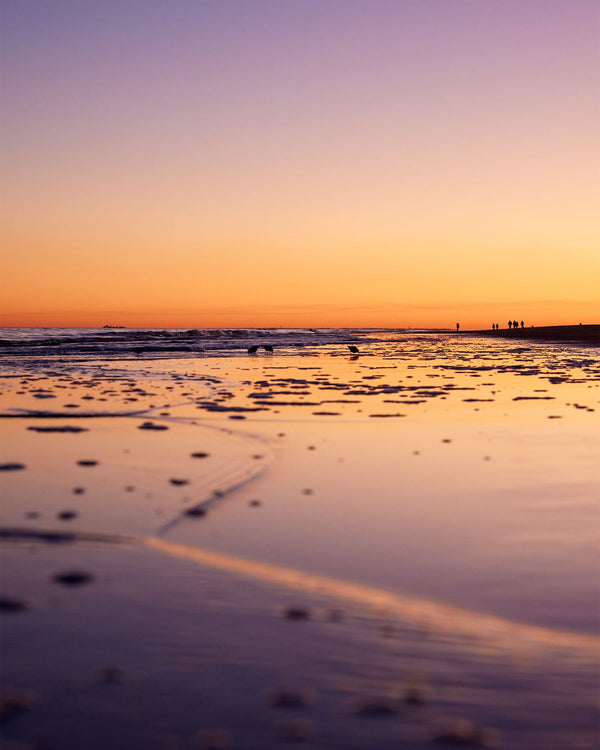 Calm Ocean Sunset at Palmetto Dunes