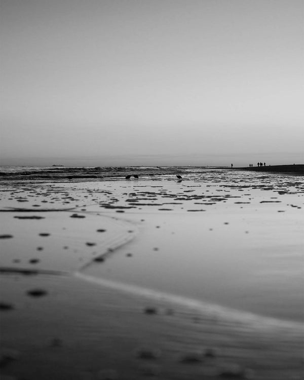 Calm Ocean Sunset at Palmetto Dunes