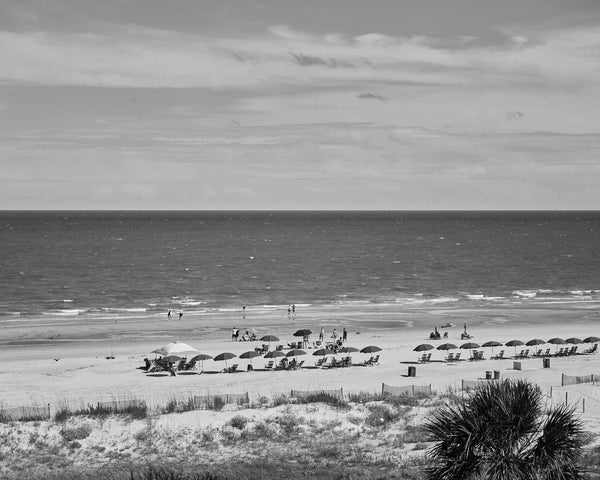 Palmetto Dunes Beach