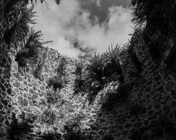 Sugar Mill Plantation Ruins In Jungle, St. John USVI Black And White Fine Art Photography Print