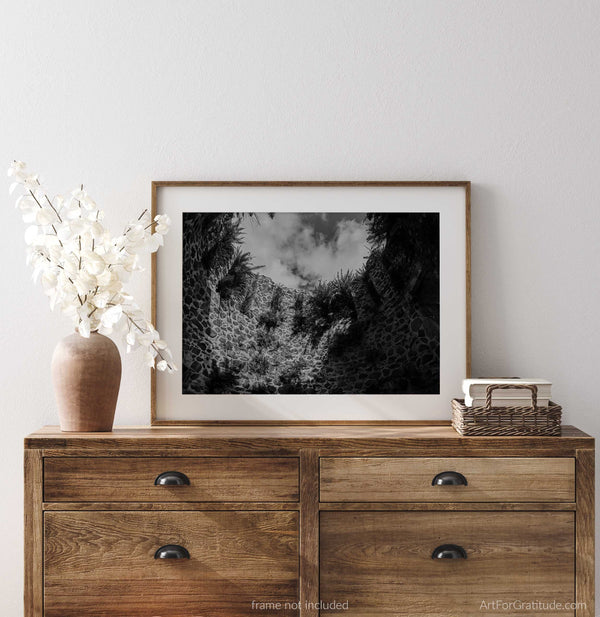 Sugar Mill Plantation Ruins In Jungle, St. John USVI Black And White Fine Art Photography Print