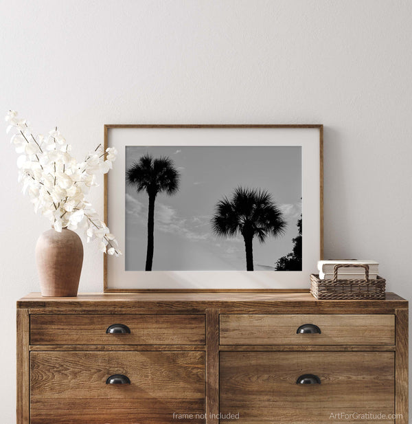 Palmetto Tree Silhouette At Sunset, Hilton Head Island Black And White Fine Art Photography Print