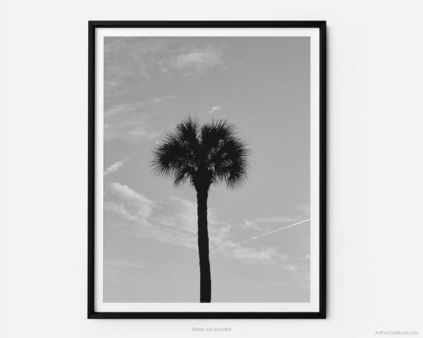Palmetto Tree Silhouette At Sunset, Hilton Head Island Black And White Fine Art Photography Print