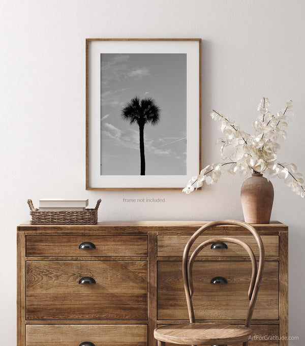 Palmetto Tree Silhouette At Sunset, Hilton Head Island Black And White Fine Art Photography Print
