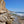 Load image into Gallery viewer, Black‘s Beach, Torrey Pines