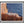 Load image into Gallery viewer, California Brown Pelican at La Jolla Cove