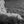 Load image into Gallery viewer, California Brown Pelican at La Jolla Cove