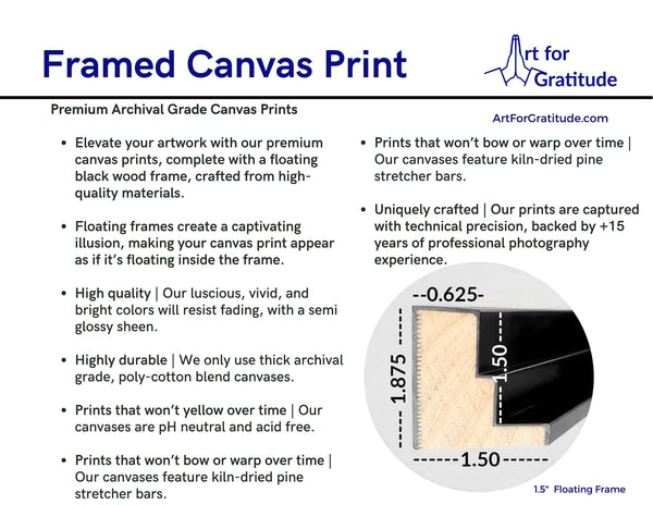 Fountain Square In Cincinnati, Cincinnati Framed Canvas Print, Fine Art Photography