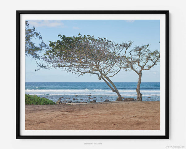 Tree On Punalau Beach, A Maui Hawaii Fine Art Photography Print, Art For Gratitude