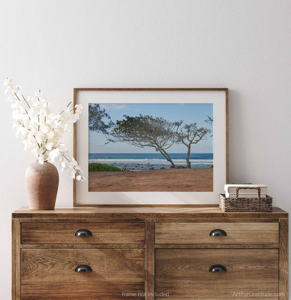 Tree On Punalau Beach, A Maui Hawaii Fine Art Photography Print, Art For Gratitude