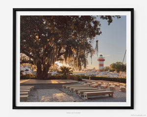 A framed picture of Liberty Oak At Sunset In Harbor Town, Hilton Head Island Fine Art Photography Print
