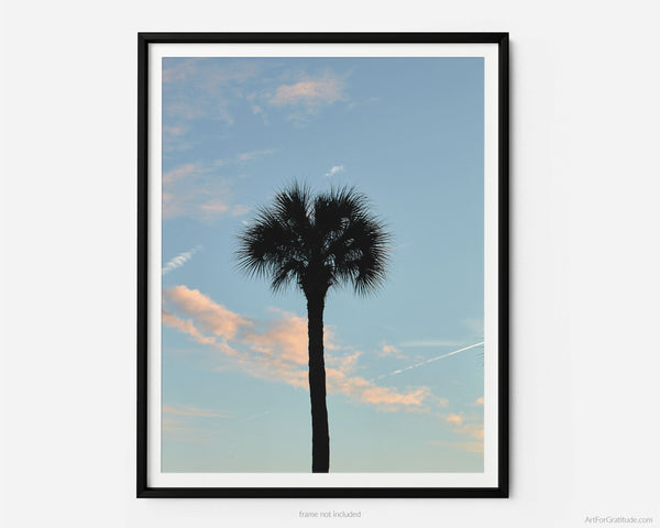 Palmetto Tree Sunset Silhouette