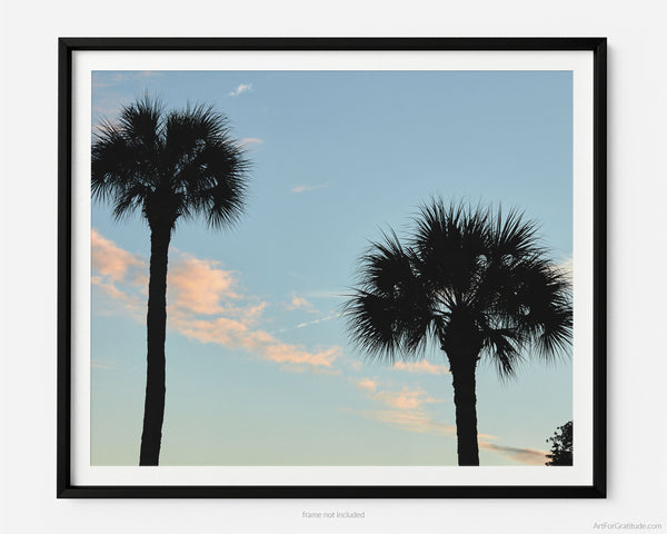 Palmetto Tree Sunset Silhouette, Hilton Head Island Fine Art Photography Print