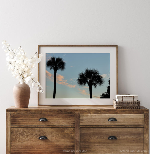 Palmetto Tree Sunset Silhouette, Hilton Head Island Fine Art Photography Print
