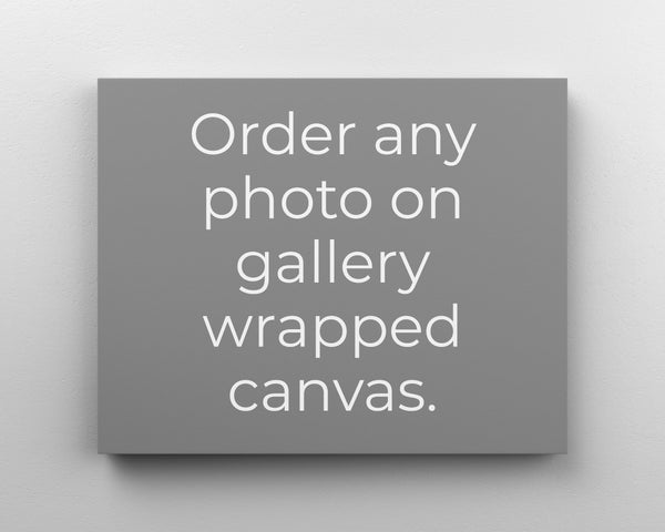 (Color) Custom Canvas Print Any Photograph In Shop, on 1.5 inch Gallery Wrapped Canvas, Variety Of Sizes Available