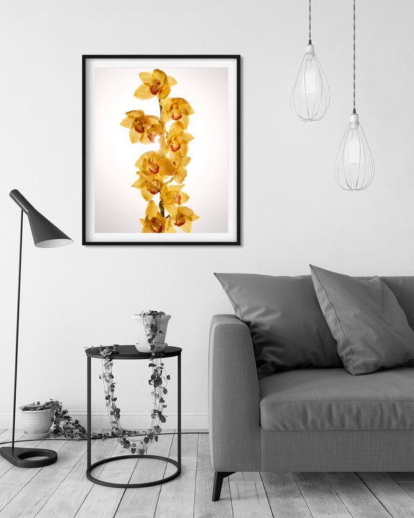 Yellow Boat Orchid Macro, Flower Fine Art Photography Print