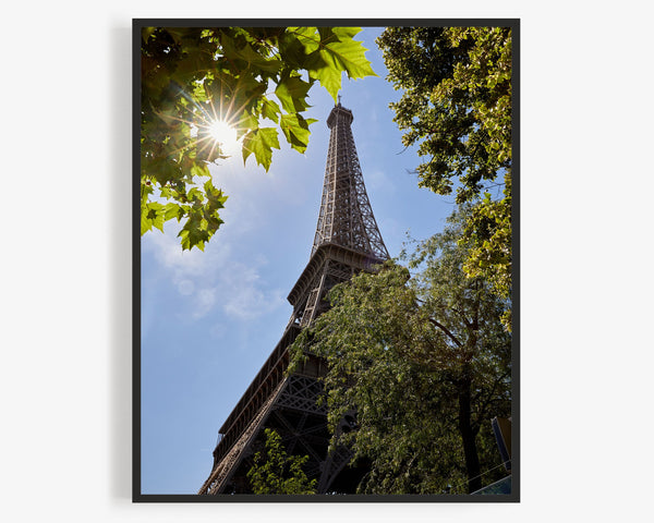 Eiffel Tower Thru Summer Trees, Paris France Photography Print