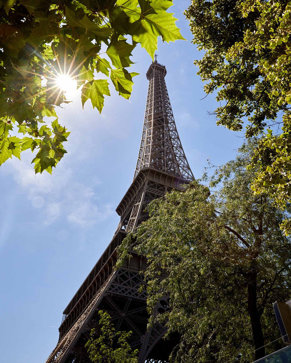 Eiffel Tower Thru Summer Trees, Paris France Photography Print