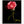Load image into Gallery viewer, Red Rose Macro, Flower Fine Art Photography Print
