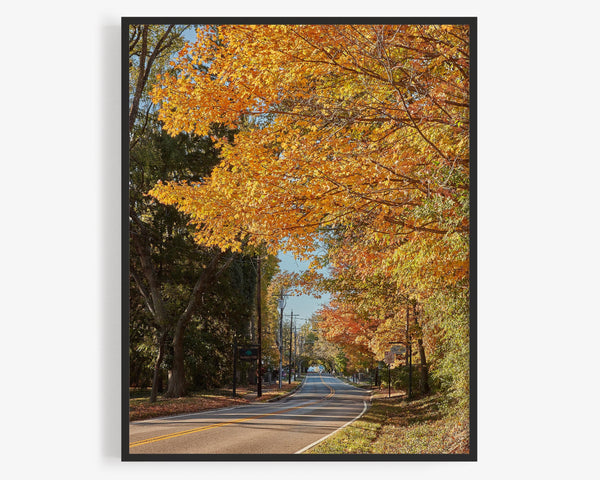 Fall At Remington Road & Old Montgomery, Cincinnati Ohio Fine Art Photography Print
