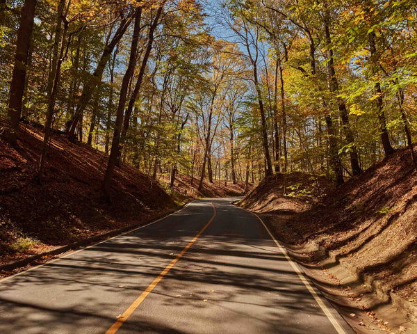 Fall On Spooky Hollow Road, Cincinnati Ohio Fine Art Photography Print