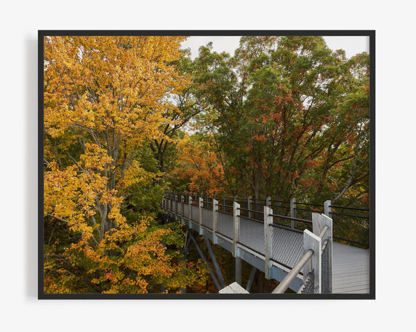 Galien River Park Bridge During Fall, New Buffalo Michigan Fine Art Photography Print