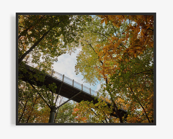 Galien River Park Bridge In Fall, New Buffalo Michigan Fine Art Photography Print