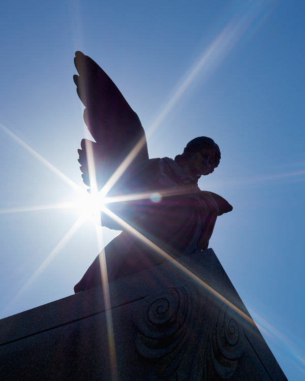 Angel Statue Silhouette at Spring Grove Cemetery and Arboretum