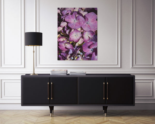 Purple Hydrangea Macro, Flower Fine Art Canvas Print
