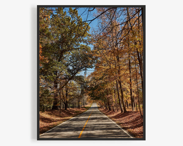 Spooky Hollow Road In Fall, Cincinnati Fine Art Photography Print