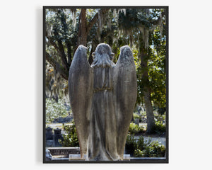 This fine art photography print was taken in Bonaventure Cemetery, located in Savannah, Georgia. The photograph features an angel statue surrounded by Spanish moss that gracefully drapes from the trees, creating a captivating scene of both historic and natural beauty.