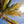Load image into Gallery viewer, Palm Tree Backlit By Caribbean Sun, St. John USVI Fine Art Photography Print
