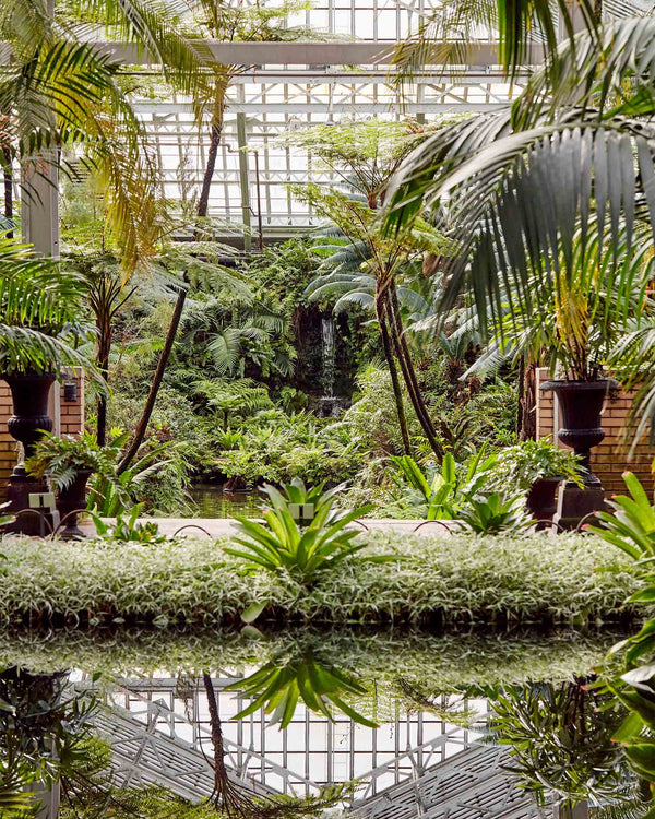 Garfield Park Conservatory Waterfall, Chicago Illinois Photography Print