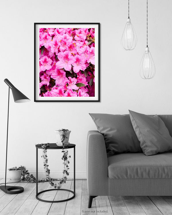 Pink Orchid Azaleas, Flower Fine Art Photography Print