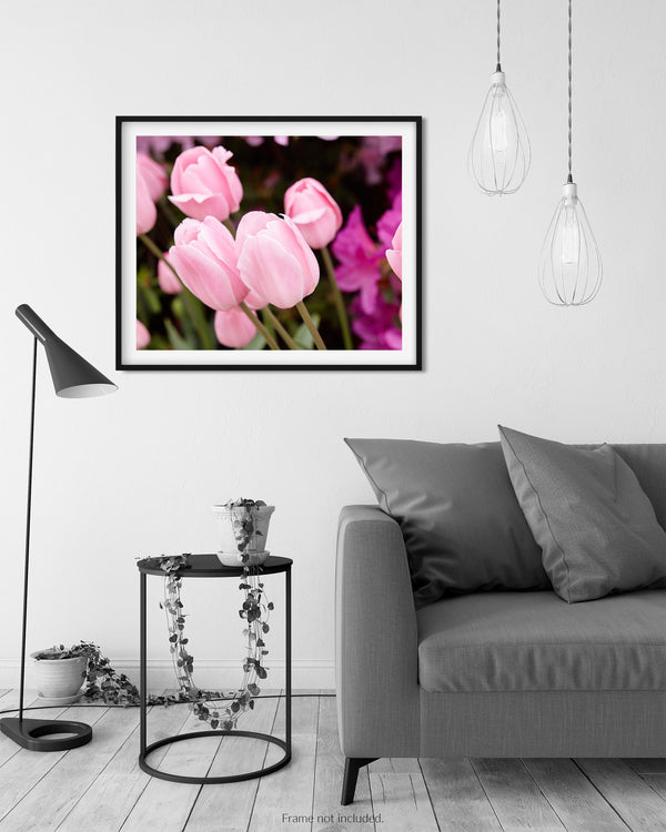Pink Tulips, Flower Fine Art Photography Print