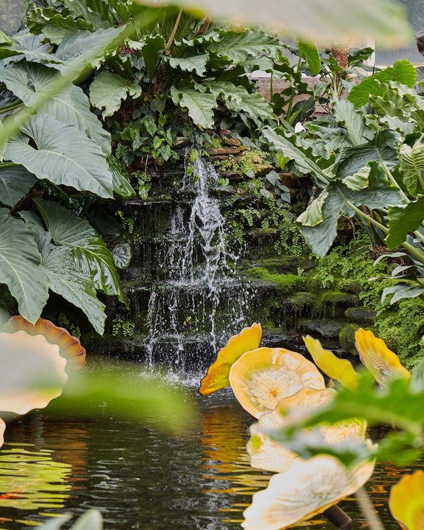 Waterfall At Garfield Park Conservatory, Chicago Illinois Photography Print