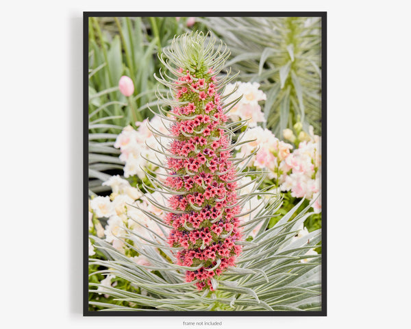 Tower Of Jewels, Flower Fine Art Photography Print