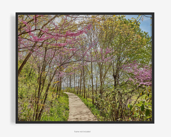 Eden Park Nature Hiking Trail, Cincinnati Ohio Fine Art Photography Print