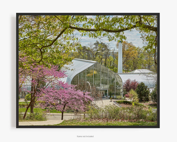 Krohn Conservatory At Eden Park, Cincinnati Ohio Fine Art Photography Print