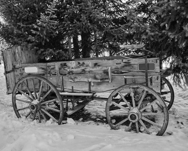 Historical Gold Rush Wagon, Breckenridge Colorado Black And White Fine Art Photography Print
